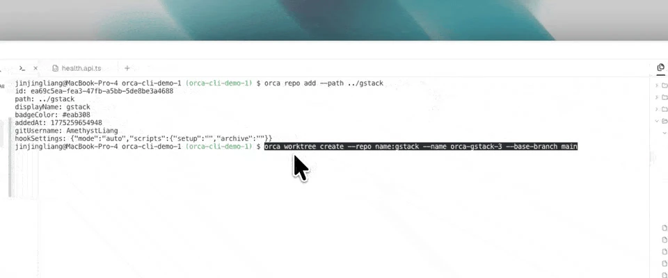 在终端里执行 orca worktree create